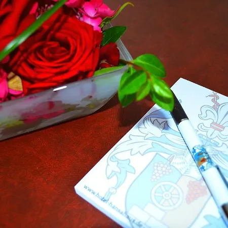 Hansa-haus 4* Kuehlungsborn